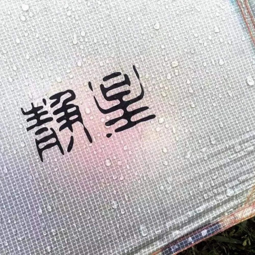 1-4 People Water-Proof 2-Side-Silicon-Coating Flysheet Ultralight 4-Season Tent Inner Tent and Poles (4 People Inner Mesh)