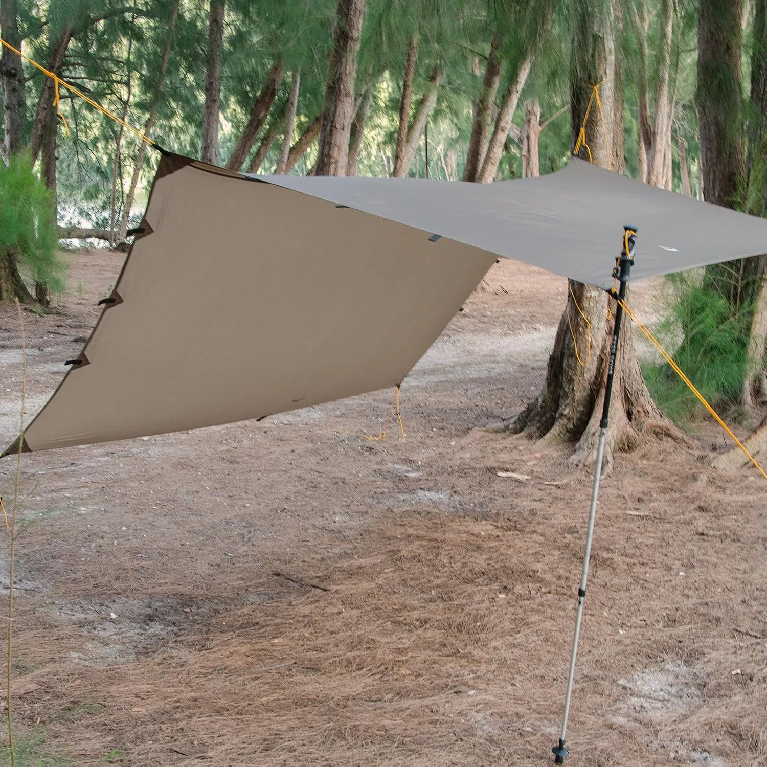 Apex Camping Shelter/Hammock Tarp
