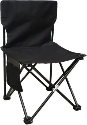 Camping Chair Fishing Chair Folding Chairs Camping Folding Lightweight Padded Portable Chair with Carry Bag Outdoor Camping Fishing Beach Chair for Outdoor Hiking Fishing Lawn Chairs Outside (Color :