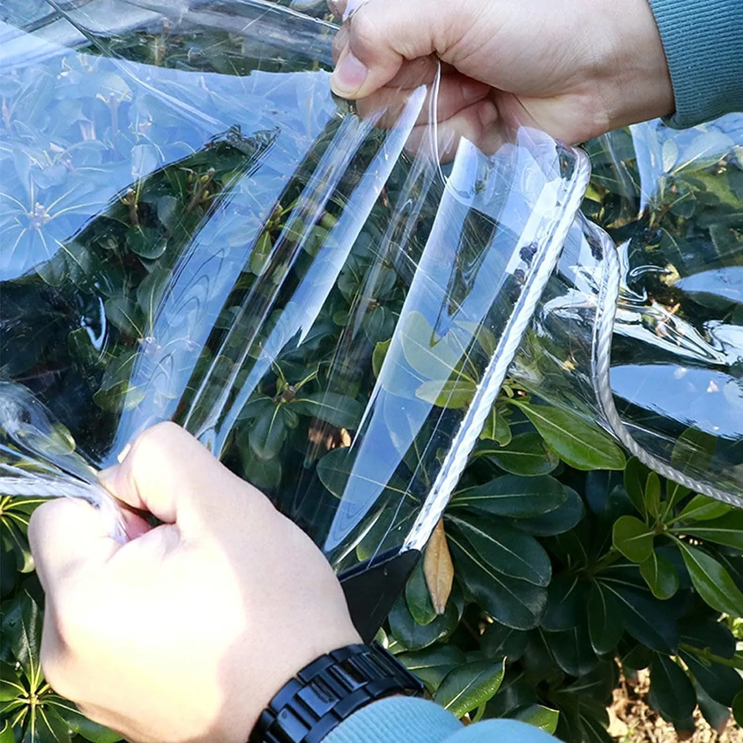Clear Tarps Heavy Duty PVC, Transparent Tarp Durable Waterproof Dustproof Windproof, Tarpaulin with Grommets & Ropes for Greenhouse, Patio, Garden, Pavilion, Chicken, Porch, Outdoor（8' x 10'）