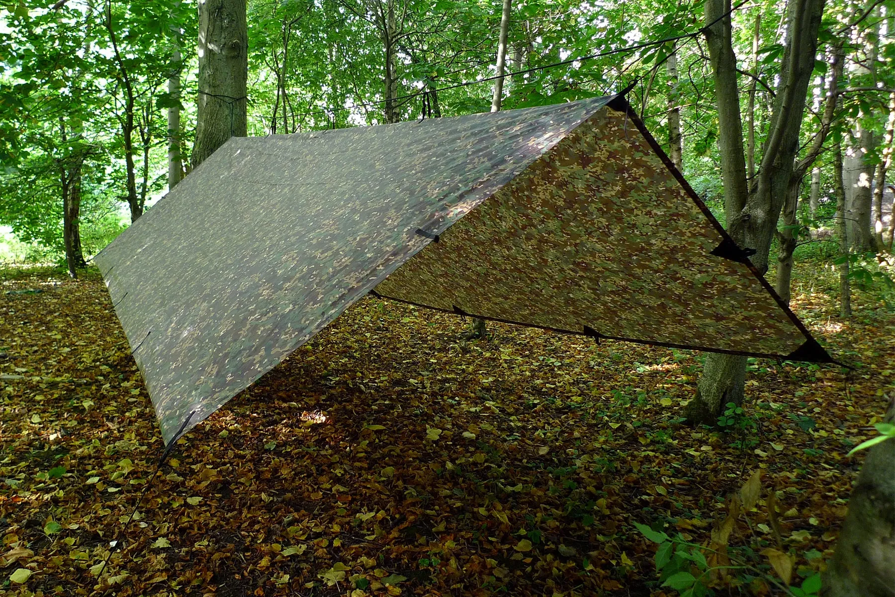 DD Tarp XL - MC
