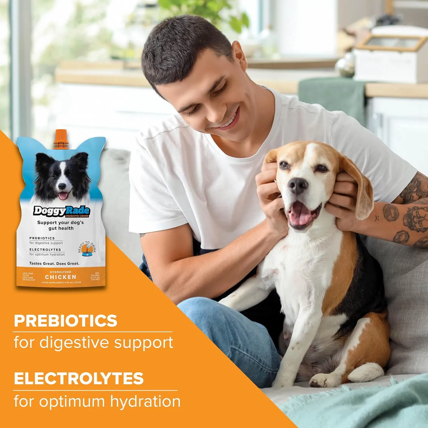 DoggyRade – Dog Sports Drink (Prebiotic, Isotonic Drink for Dogs) | Electrolytes, Nutrients & Amino Acids | Quick Hydration Drink for Dogs   Low Cal | More Than Just Water! | Chicken Flavor | 3x250ml