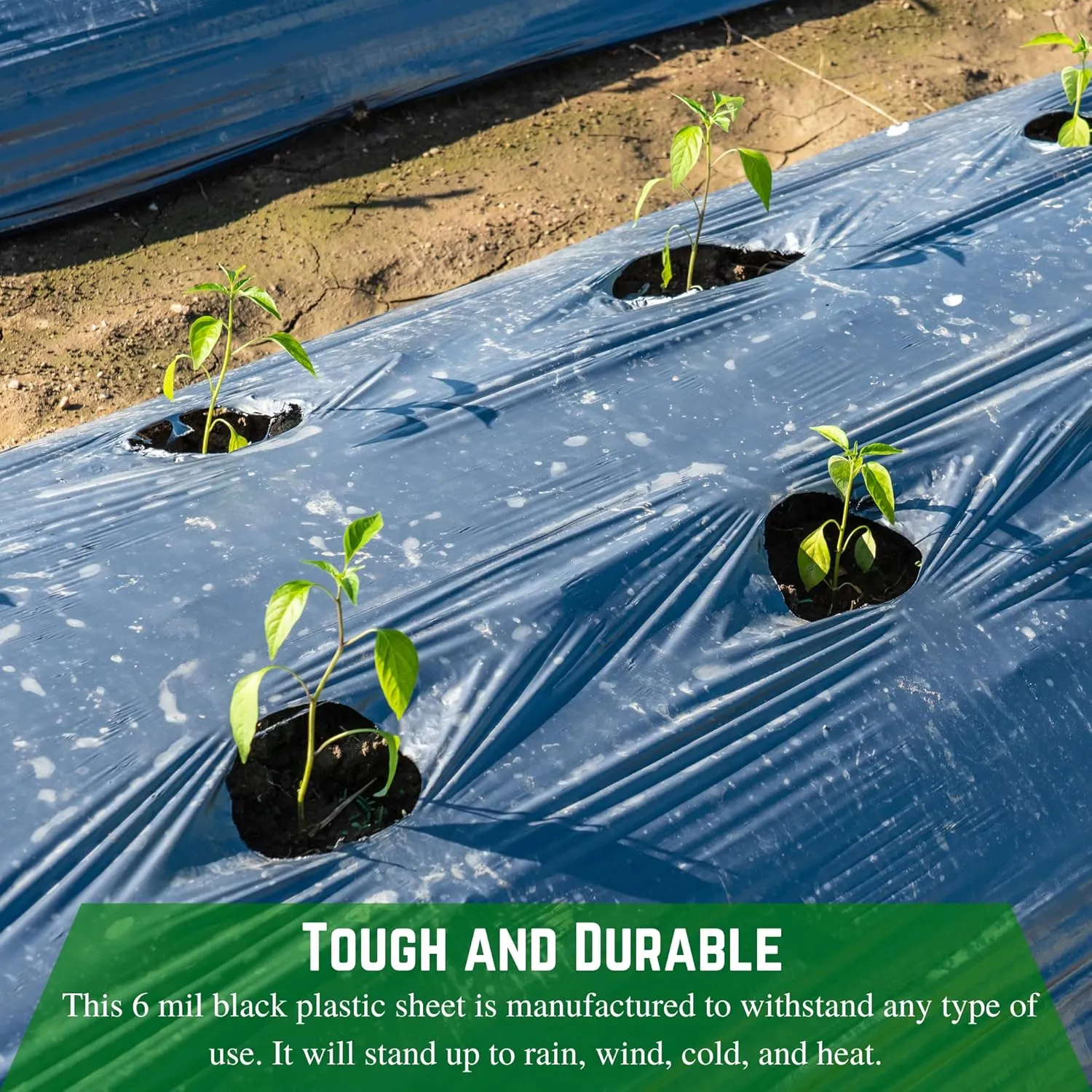 Farm Plastic Supply Tarp - 6 mil Polyethylene Vapor Barrier - (6' x 100') Sheeting, Black Tarp, Heavy Duty