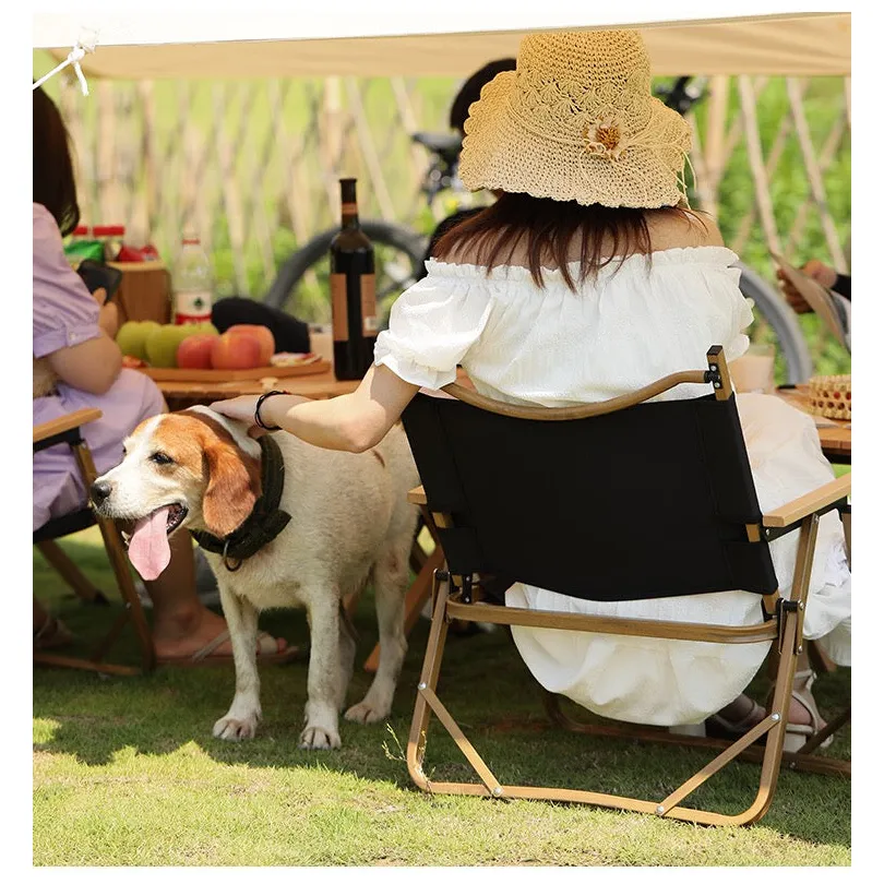Folding camping chair