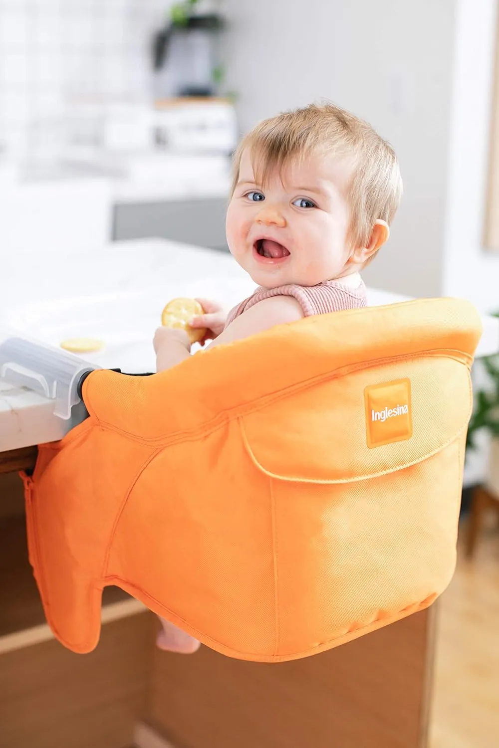 Inglesina Fast Table Chair, Light Blue - Portable Baby High Chair - For Babies & Toddlers 6-36 Months, Collapsible Design, Fits Tables 0.8'' to 3.5'' Thick, Compact & Easy to Use - Travel Bag Included