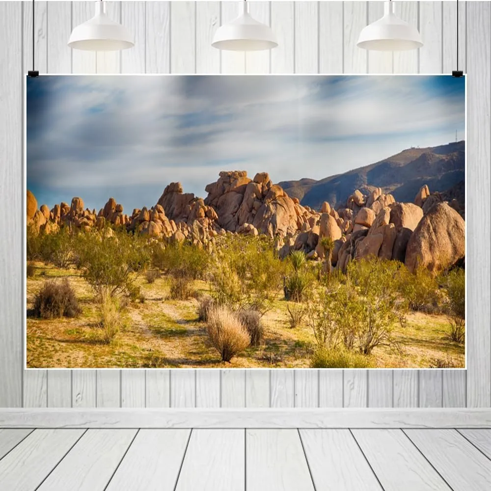 Laeacco Dusk Gobi Desert Scenery Backdrop 10x8ft Setting Sun Weathered Sandstone Rock Climate Mountains Landscape Backdrop Nature Scenery Background Birthday Party Wedding Photo Studio Prop Wallpaper
