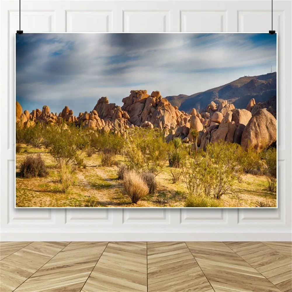 Laeacco Dusk Gobi Desert Scenery Backdrop 10x8ft Setting Sun Weathered Sandstone Rock Climate Mountains Landscape Backdrop Nature Scenery Background Birthday Party Wedding Photo Studio Prop Wallpaper
