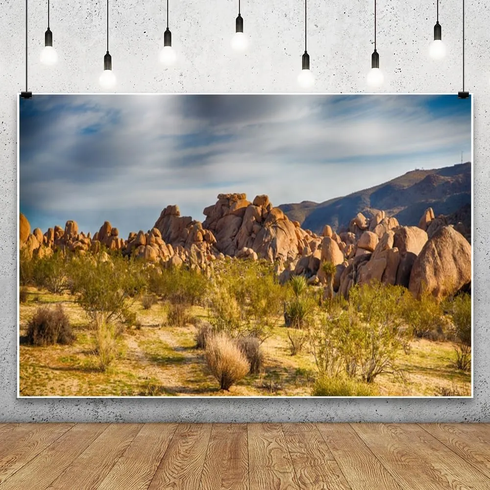 Laeacco Dusk Gobi Desert Scenery Backdrop 10x8ft Setting Sun Weathered Sandstone Rock Climate Mountains Landscape Backdrop Nature Scenery Background Birthday Party Wedding Photo Studio Prop Wallpaper