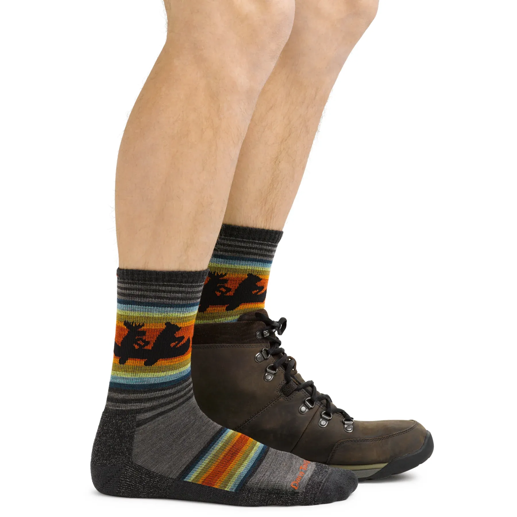 Men's Willoughby Micro Crew Lightweight Hiking Sock