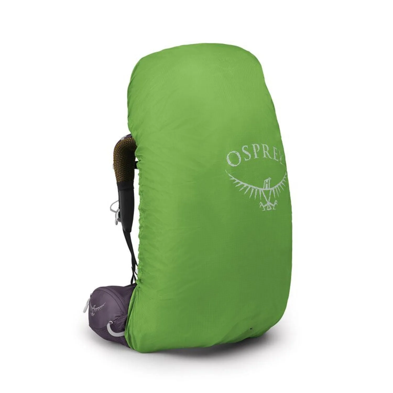 Osprey Aura AG 65 Backpack - Medium - Women's Backpacking