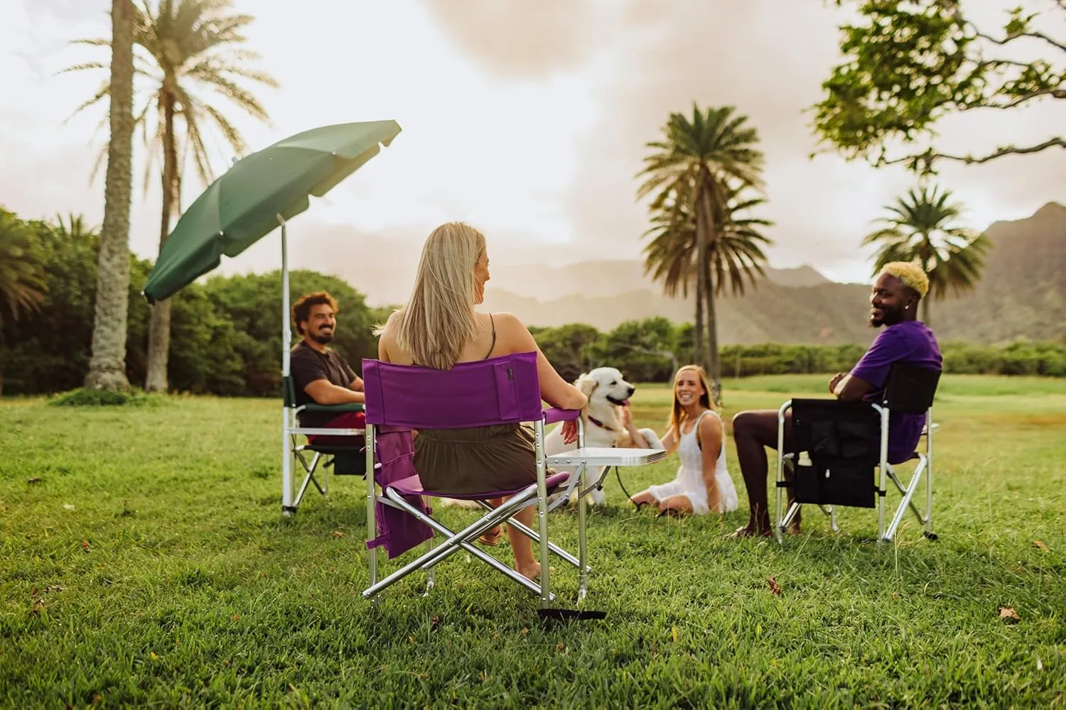PICNIC TIME NFL Unisex-Adult NFL Sports Chair with Side Table, Beach Chair, Camp Chair for Adults