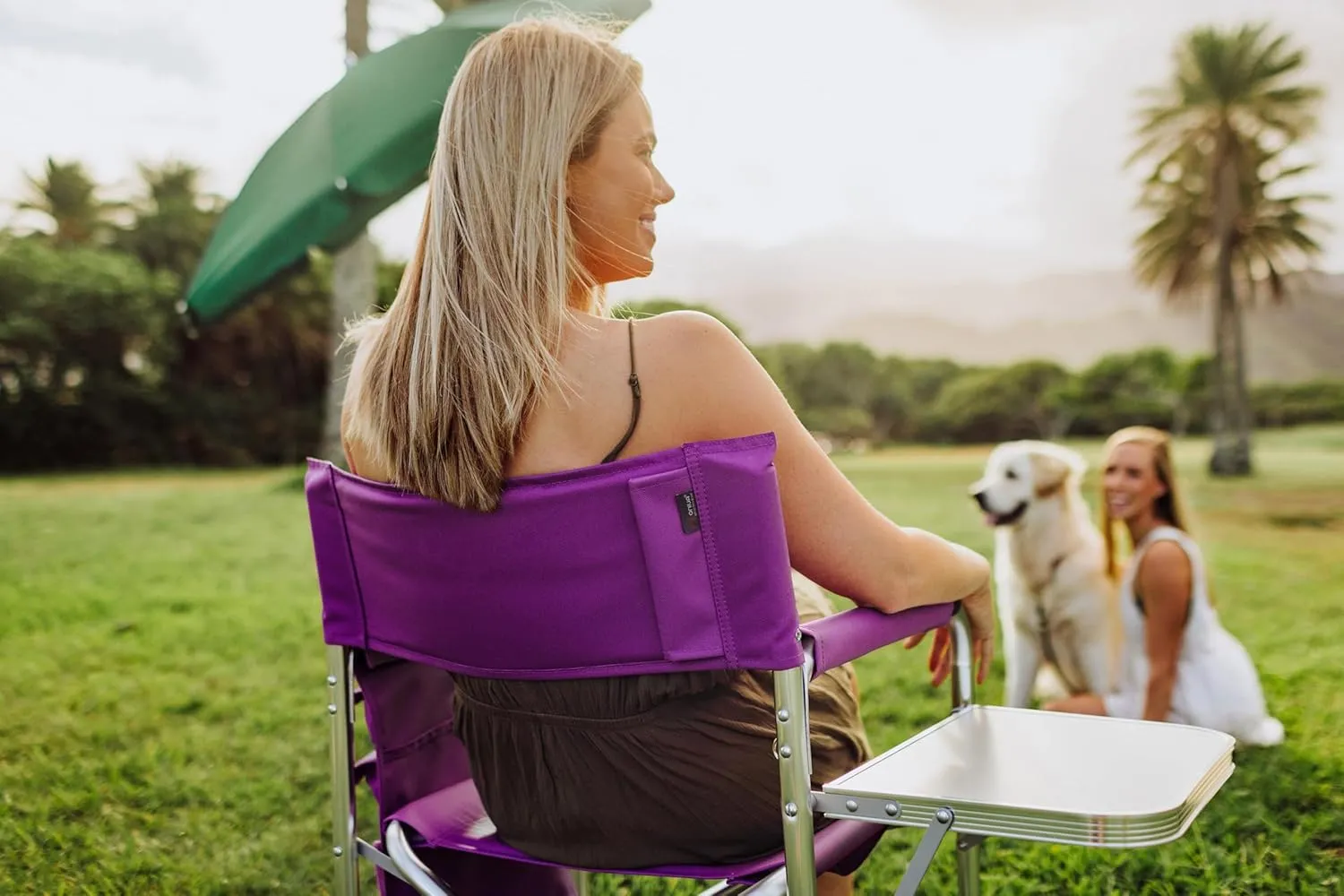 PICNIC TIME NFL Unisex-Adult NFL Sports Chair with Side Table, Beach Chair, Camp Chair for Adults
