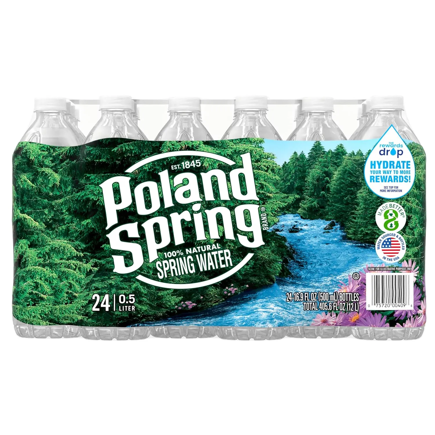Poland Spring Maine Spring Water Bottles, 24 Pack – Crisp, Still Bottled Water with Naturally Balanced Occurring Minerals & Electrolytes for Taste - 16.9 Fl Oz