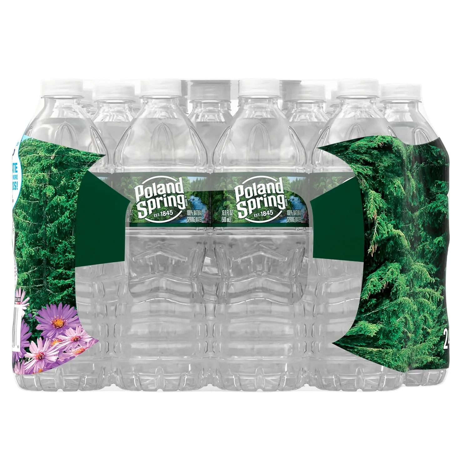 Poland Spring Maine Spring Water Bottles, 24 Pack – Crisp, Still Bottled Water with Naturally Balanced Occurring Minerals & Electrolytes for Taste - 16.9 Fl Oz