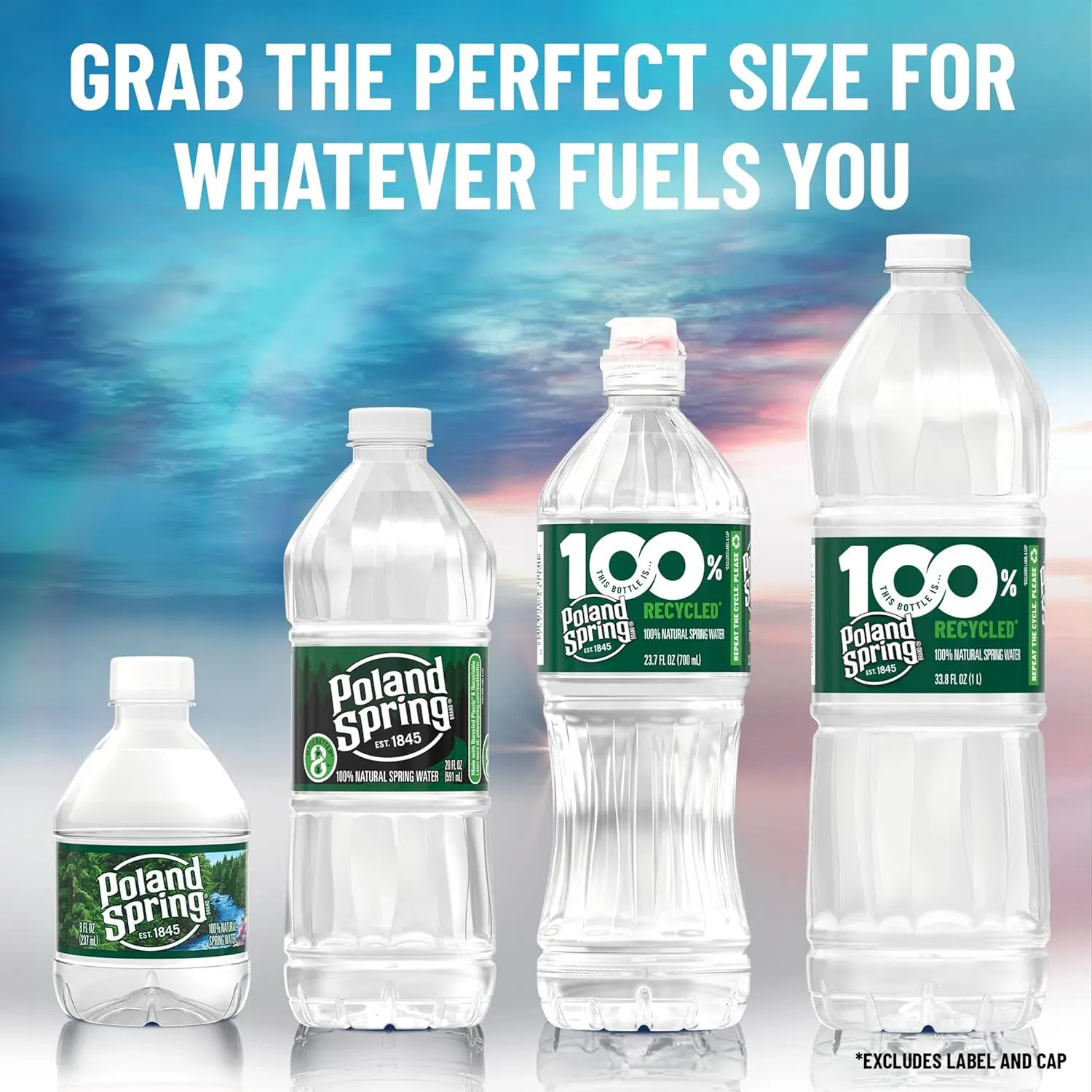 Poland Spring Maine Spring Water Bottles, 24 Pack – Crisp, Still Bottled Water with Naturally Balanced Occurring Minerals & Electrolytes for Taste - 16.9 Fl Oz