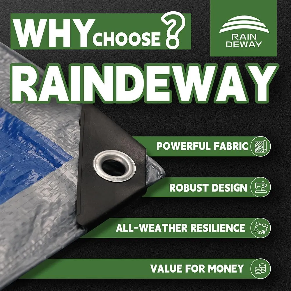 RAINDEWAY Large Tarps 30x100 Feet, 5.5 Mil - Multipurpose Waterproof Poly Tarp Cover with Metal Grommets and Reinforced Edges, Silver/Blue Tarp