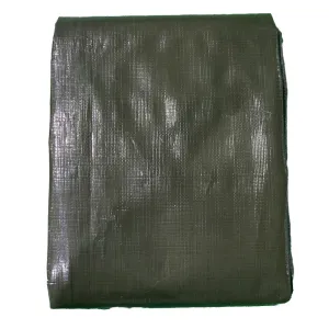 RoadPro Heavy-Duty Tarp RPHDTP102 - DAS COMPANIES