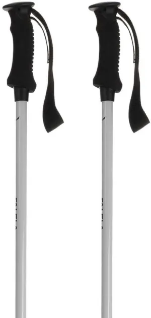 Salewa Puez Aluminum Pro