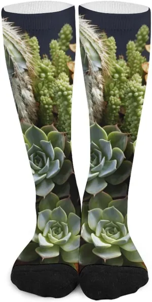 Socks for Women Men Cactus Multiflesh Cotton Sock Breathable Boot Socks Warm Calf Socks for Hiking Work Crew Socks Thin Casual Long Socks