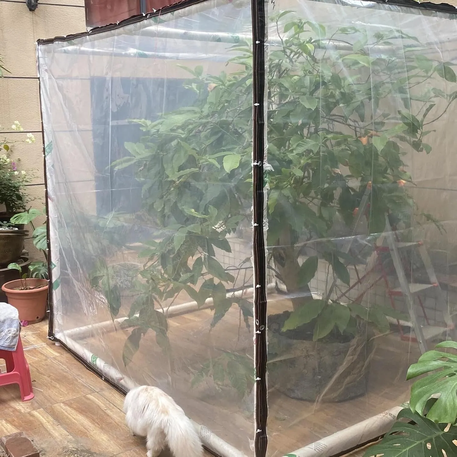 Tarp Waterproof,Thickened Tear Resistant,Windproof Clear Plastic Tarps,2 * 3m 4 * 6m 6 * 8m 8 * 10m Heavy Duty Tarps(7x16 ft(2x5m))