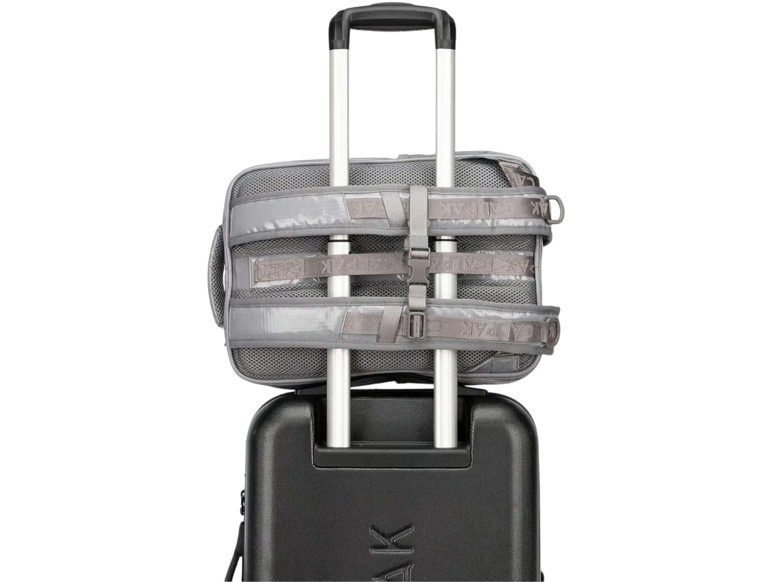 Terra Laptop Backpack