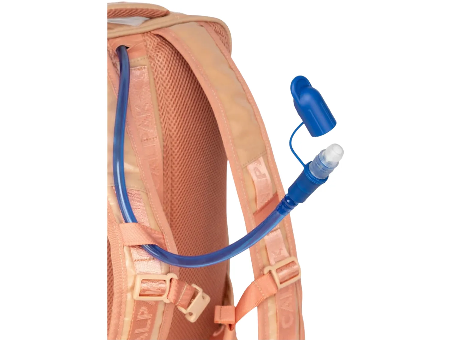Terra Laptop Backpack