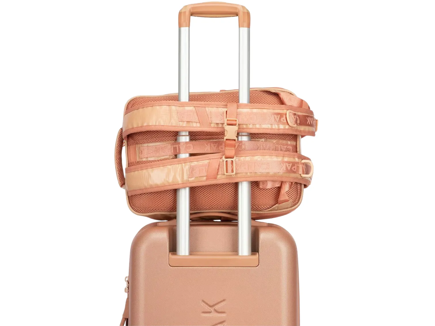 Terra Laptop Backpack