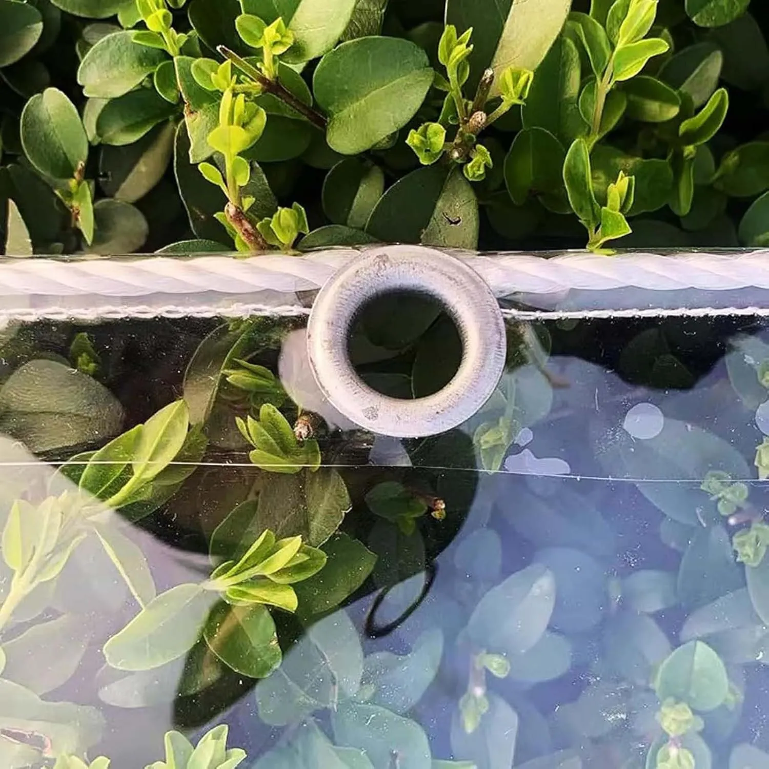 Transparent Waterproof Tarpaulin 6.6x9.8ft, Tarp Plastic PVC Clear, Heavy Duty Waterproof Clear Tarp with Grommets, for Outdoor/Camping/Garden