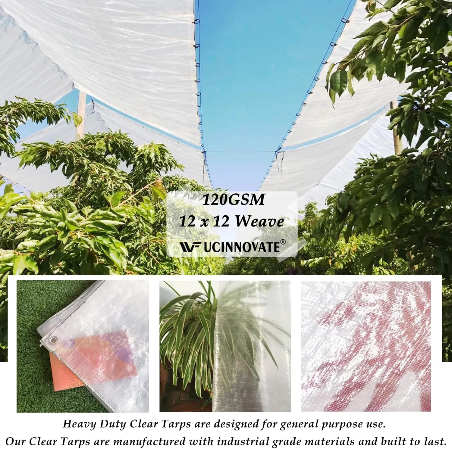UCINNOVATE 12Mil Clear Tarp 6x10FT 2-Pack - Heavy Duty Waterproof Reinforced 12x12 Weave, Tear Resistant Poly Tarps with Grommets for Greenhouse, Garden, Chicken Coop, Outdoor